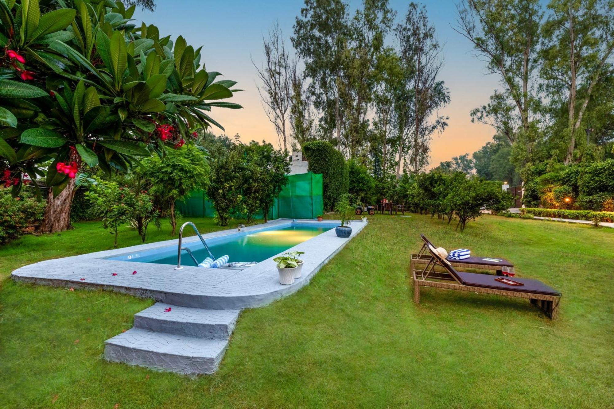Alaya 3 Bhk Pet Friendly With Pvt Pool - Daffodil * New Delhi